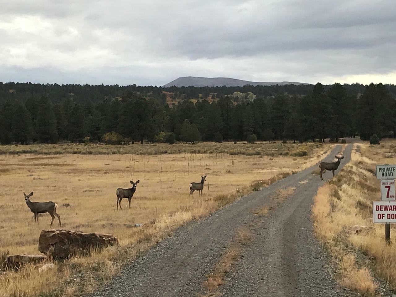 Double G Ranch & Guestlodge Bed and breakfast *
